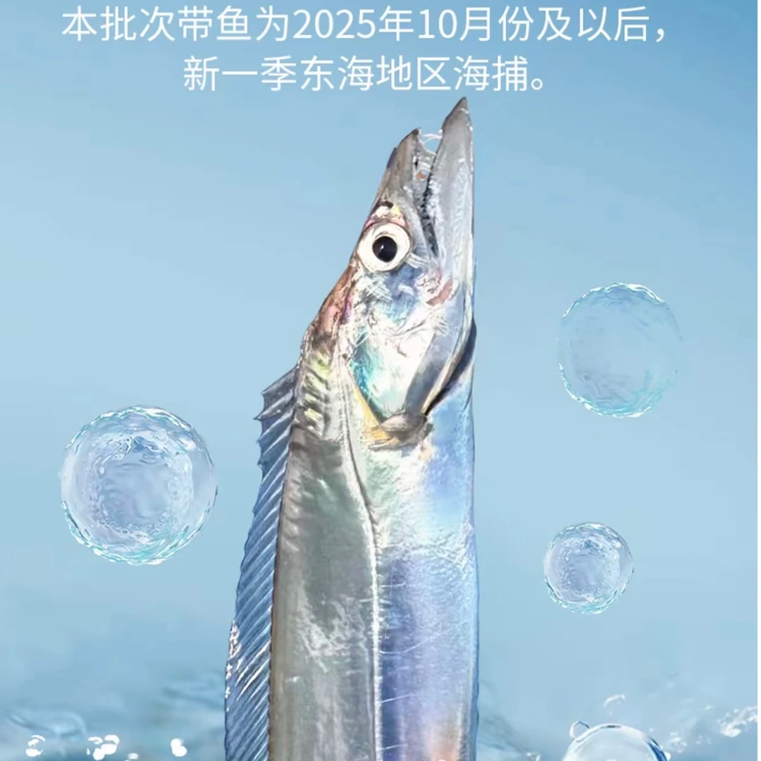 k正宗舟山小眼睛带鱼 肉质鲜嫩  东海整条带鱼 可清蒸 10