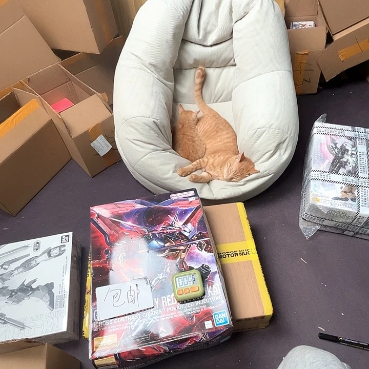 晖***皇模型随机模型随机