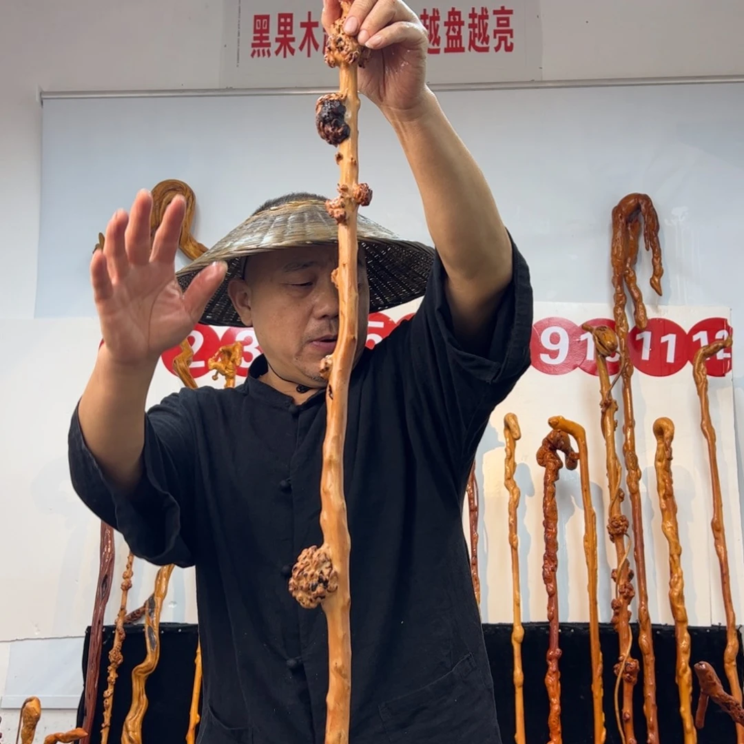 其他黑果木黑果木806