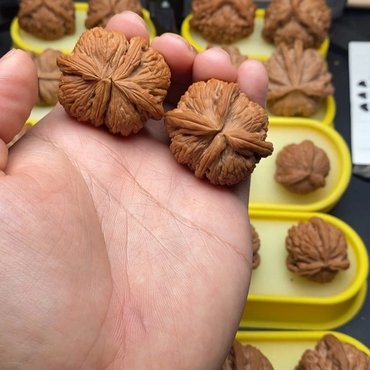 把件文玩核桃白狮子连体