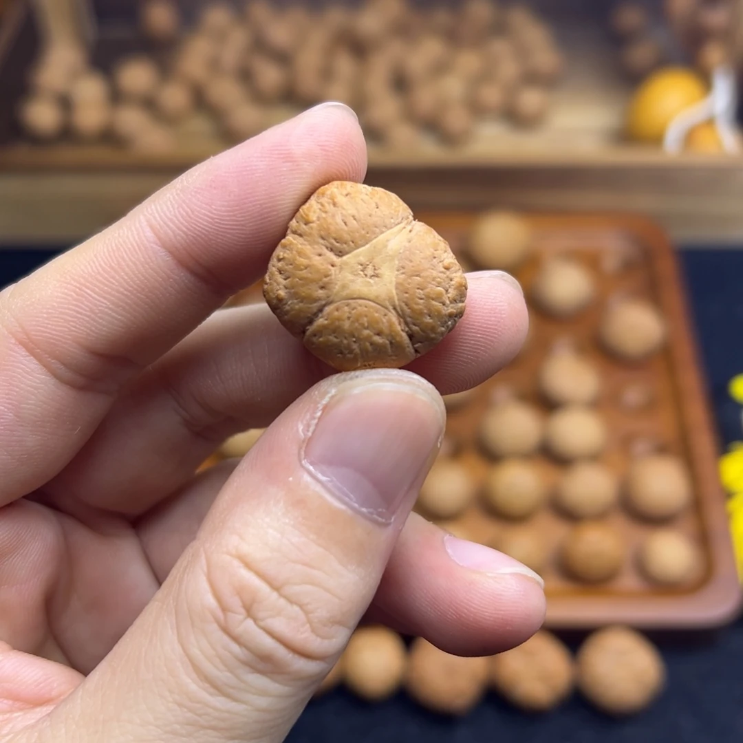 凤眼菩提手串23.7异形麒麟眼