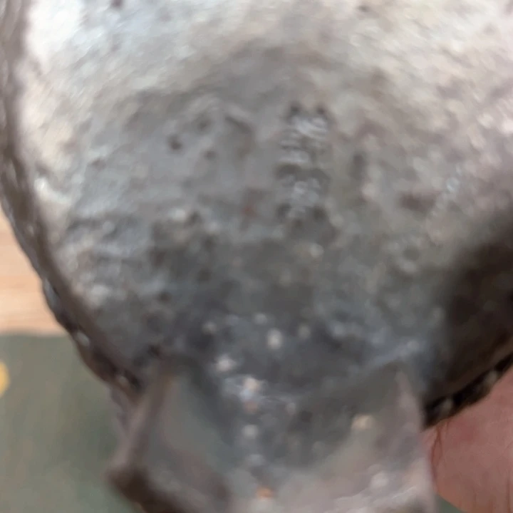 转***逝壶瑕疵瑕疵瑕疵瑕疵瑕疵