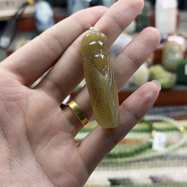 和田玉未镶嵌挂件知了