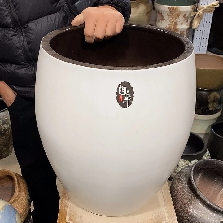 口32高度42白色……………