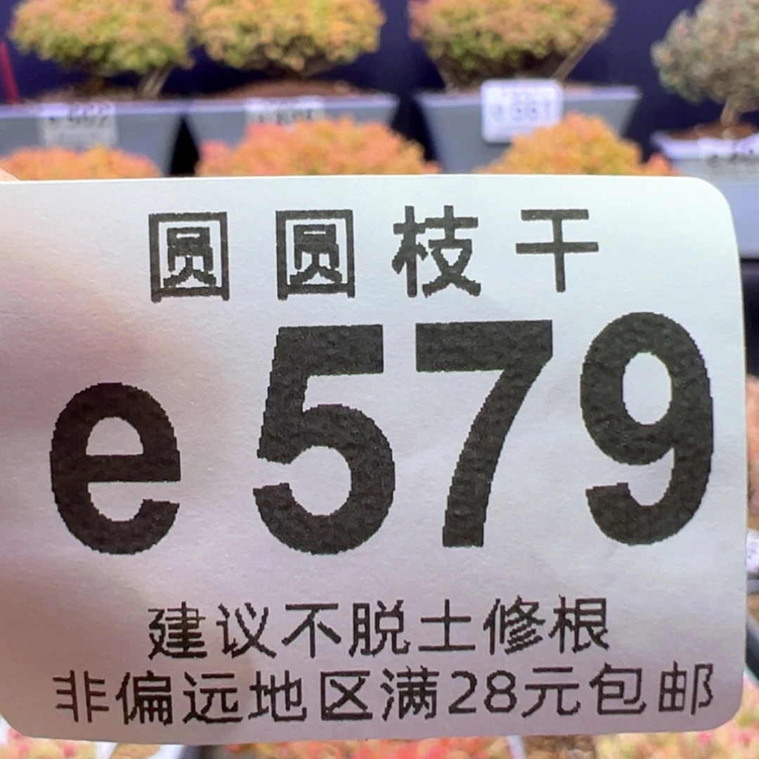 【闪购商品】疯*?e579四种混合切糕各一丢丢