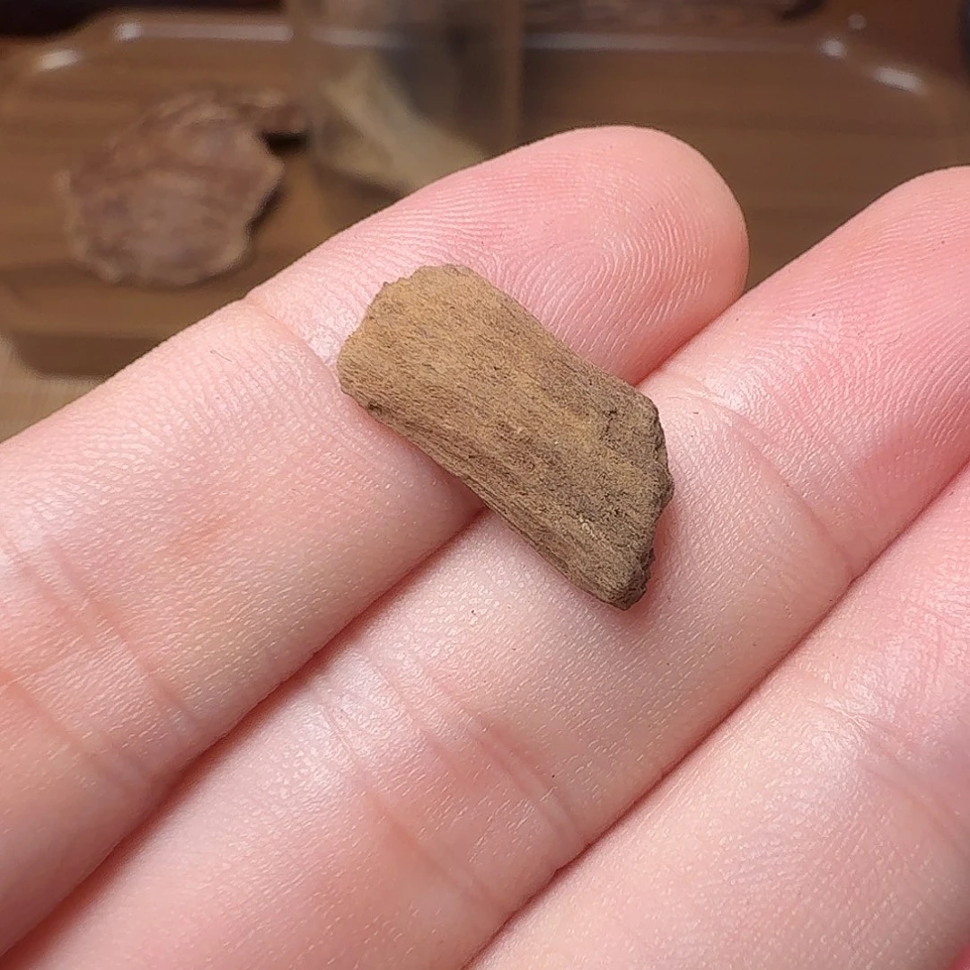 缘***此沉香富森红土小块料