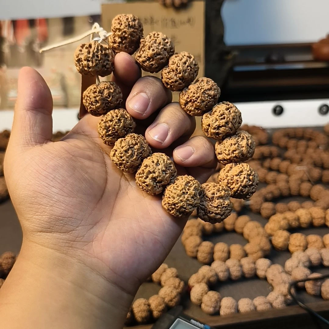 手串金刚菩提18号26霸王龙