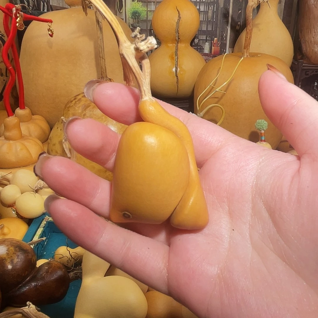 喵*葫芦呀呀呀呀呀呀呀呀呀呀呀呀