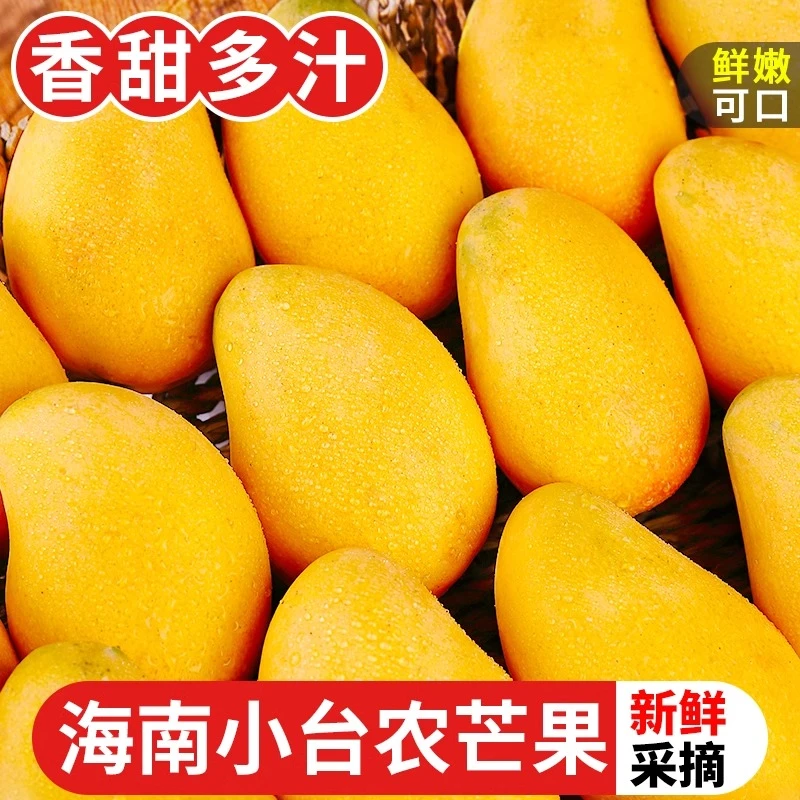 【同城小时达】海南小台芒2500g