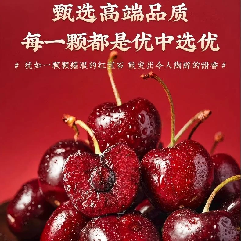 智利进口桑提娜新鲜车厘子JJ/JJJ 新鲜水果 现货直发 2斤礼盒装
