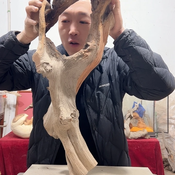 柏木蛇**转我们都是好孩子呀我