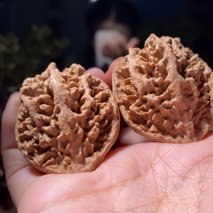 把件文玩核桃东北楸子小路221