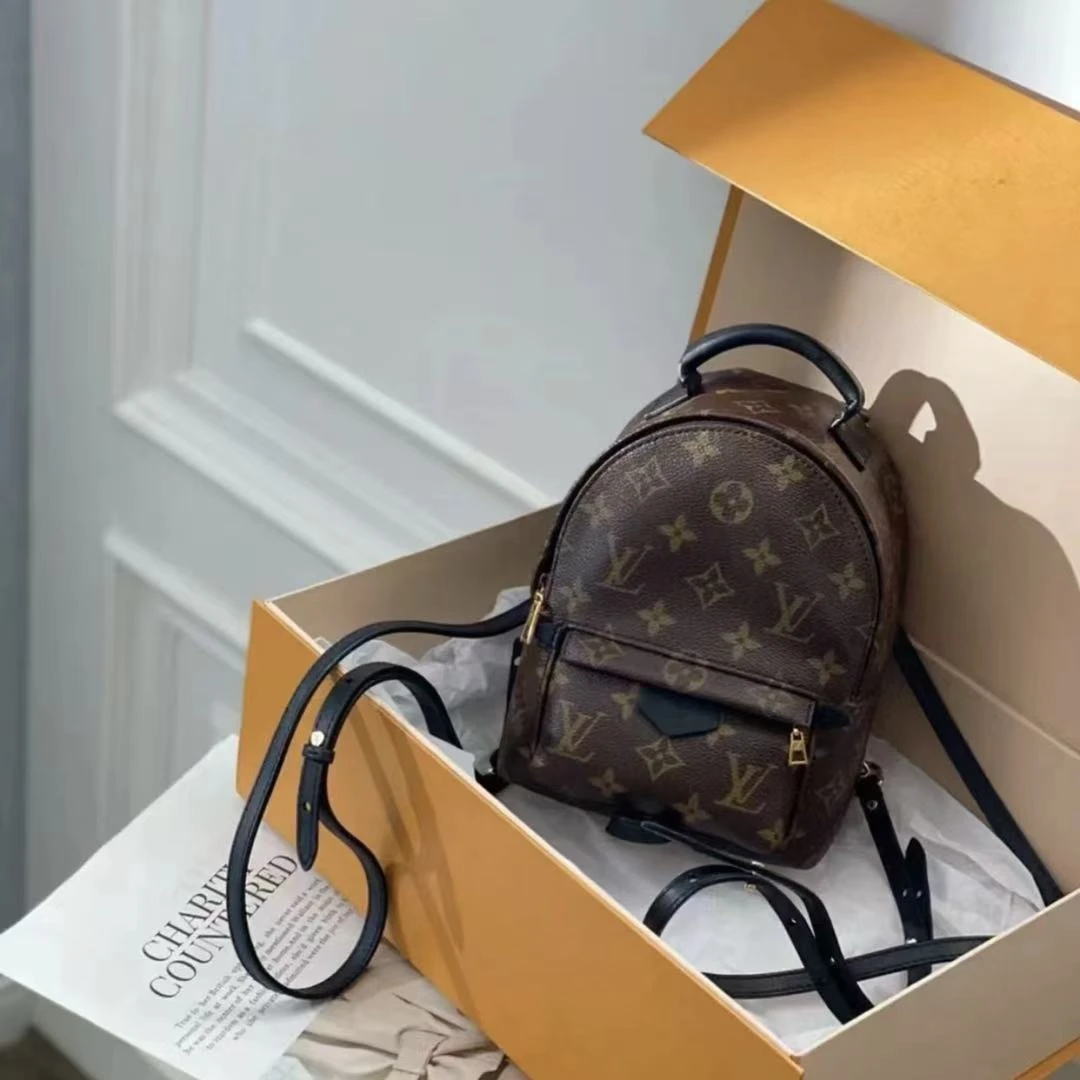 95新 LouisVuitton/路易威登 路易威登/双肩包/5107