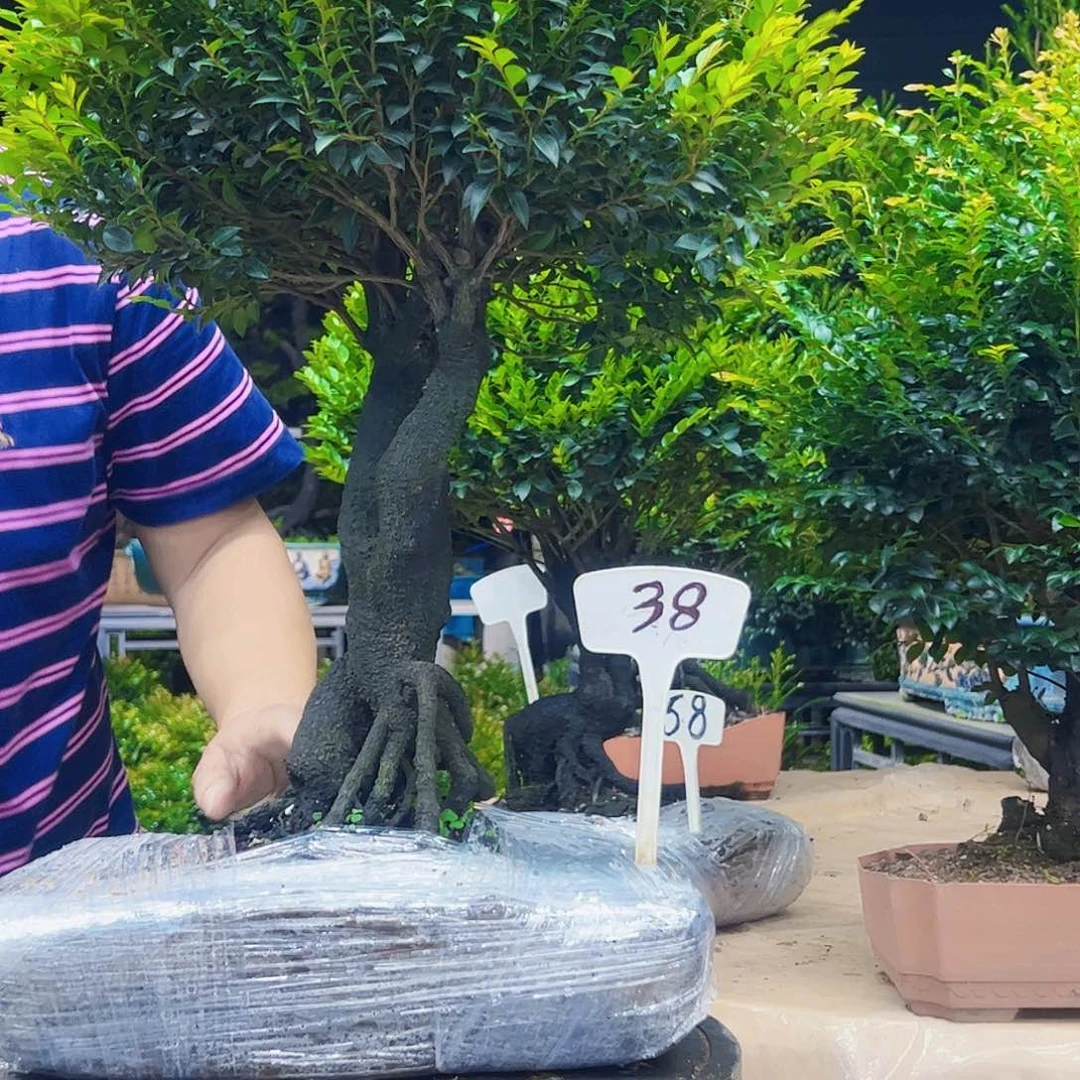 以实际为准用****612345678