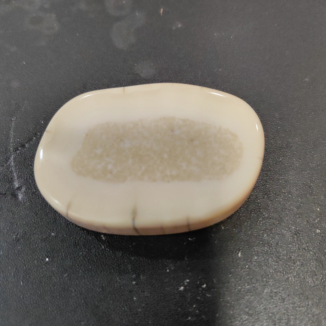 猛犸猛犸虬饼子TT1528