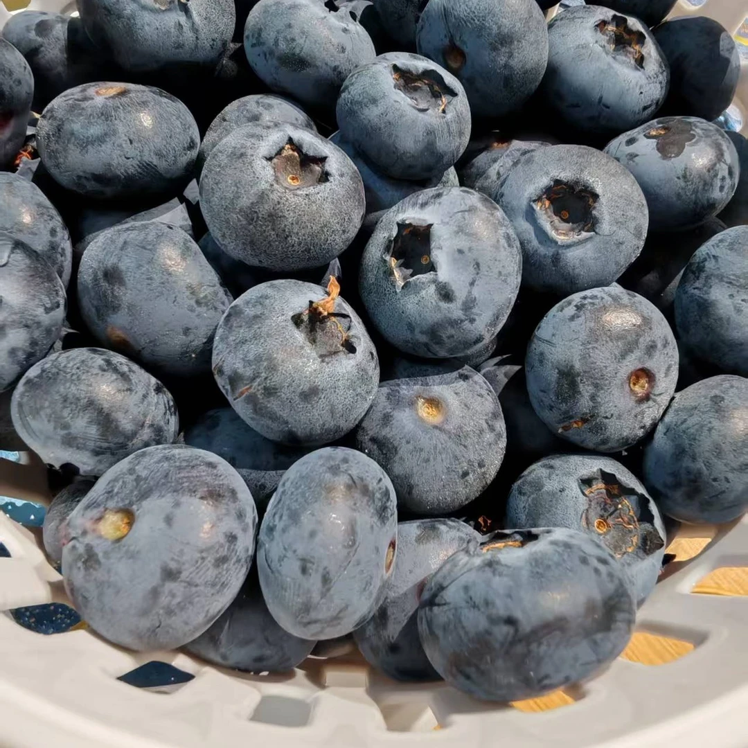 花香蓝莓18➕大果一斤