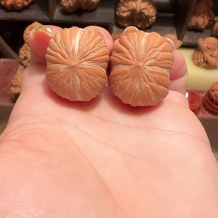 “***”小南瓜……核桃……核桃