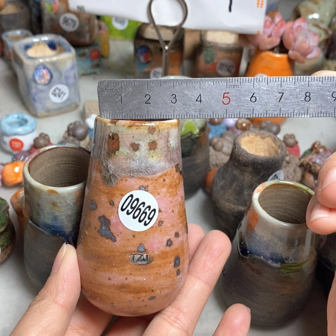 拍5送一个小礼物