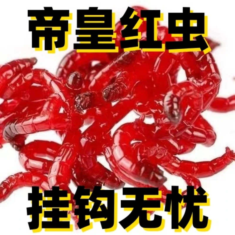【新春福利】鲜活红虫特大号红虫活体活饵喂鱼饵拉饵鲫鱼野钓饵料
