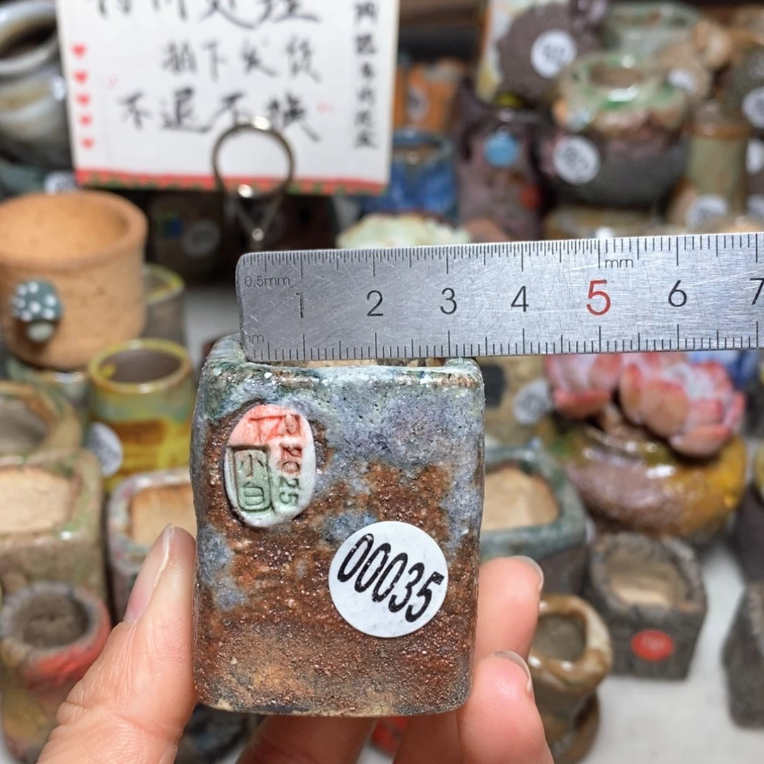 花盆拍3送一个小礼物