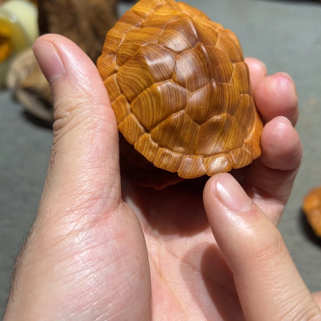 科****柏木（崖柏）北太行陈化崖柏