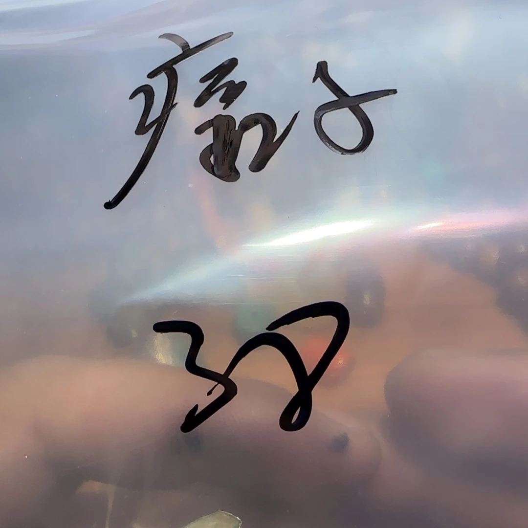 琉璃手工艺品痞*藏弟出品，配38