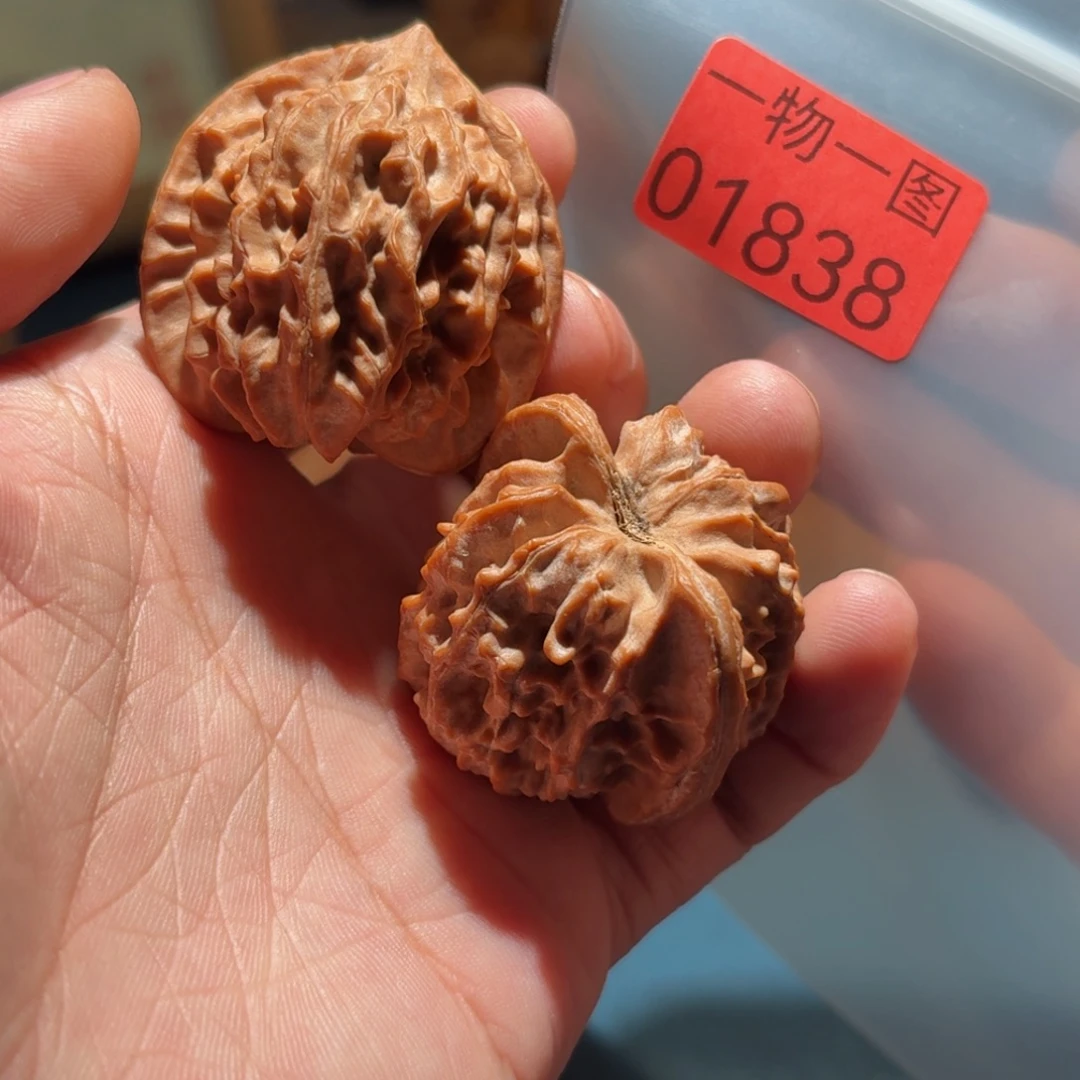 把件文玩核桃红珊瑚