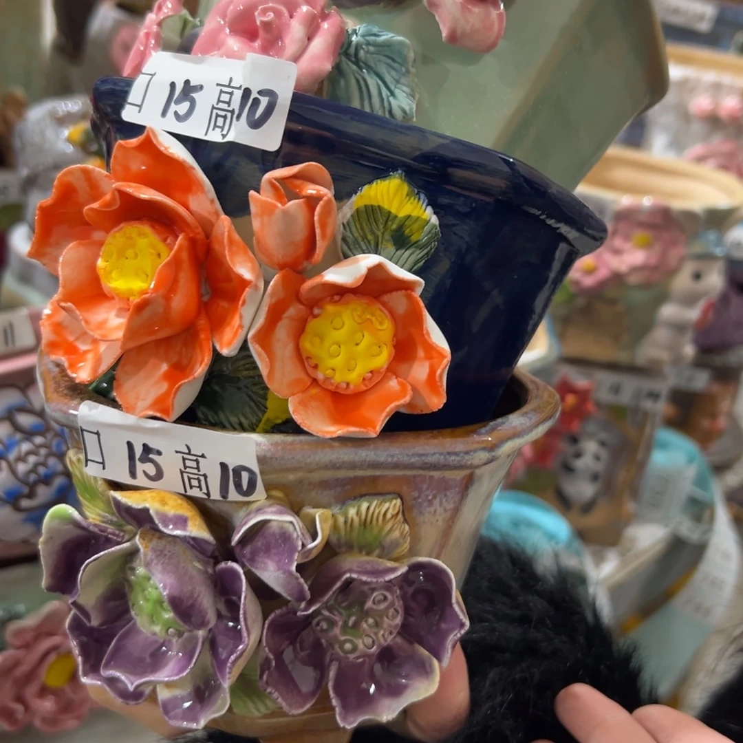 多肉花盆满20发秒拍秒退拉黑