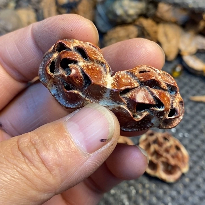 文玩核桃吊坠娜姐48