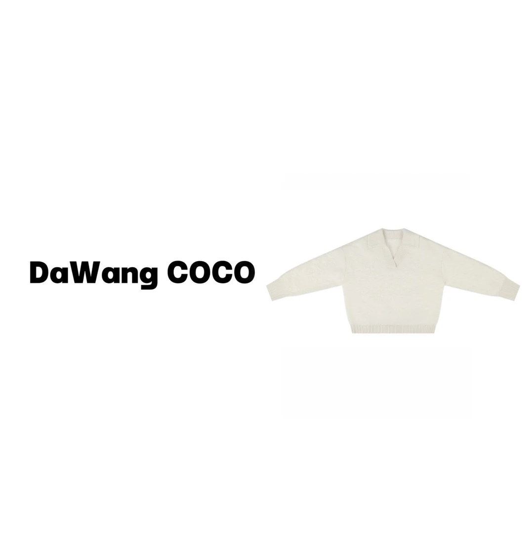 DaWangCoco 高级感针织开衫 #23C19973