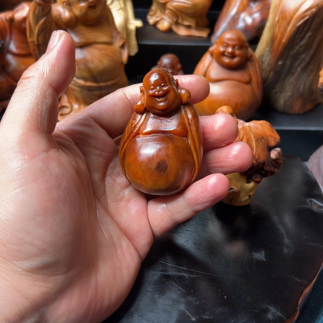 柏木（崖柏）太行崖柏