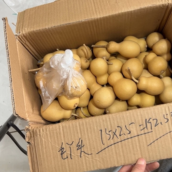 毛***头大叶紫檀（黑酸枝木类）