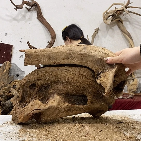 用***7柏木我们都是好孩子