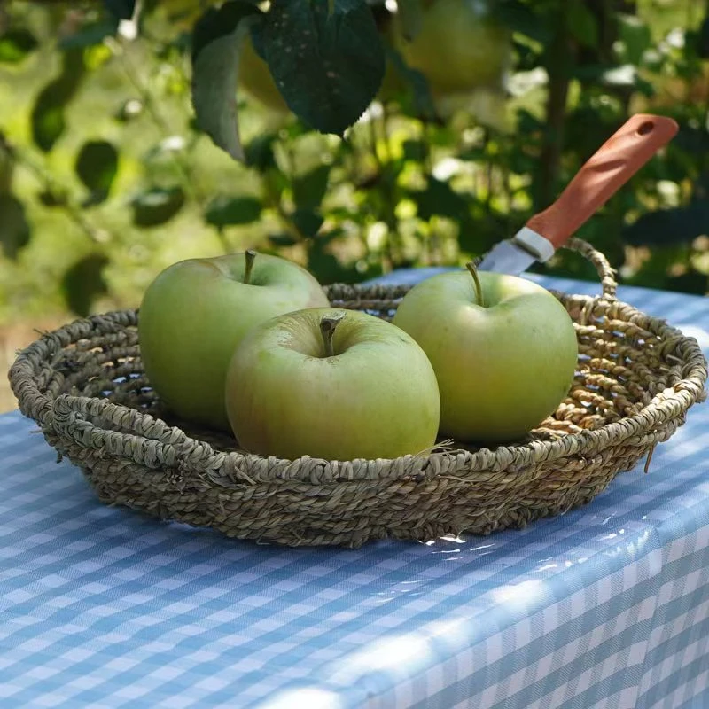 山东青森明月苹果正宗水蜜桃苹果烟台新鲜青苹果当季整箱