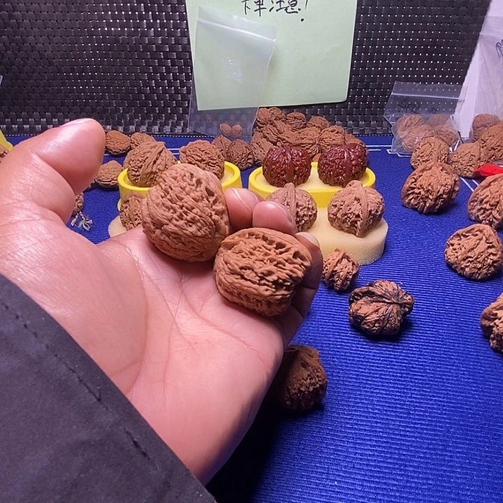 37尺老树南疆天残脚