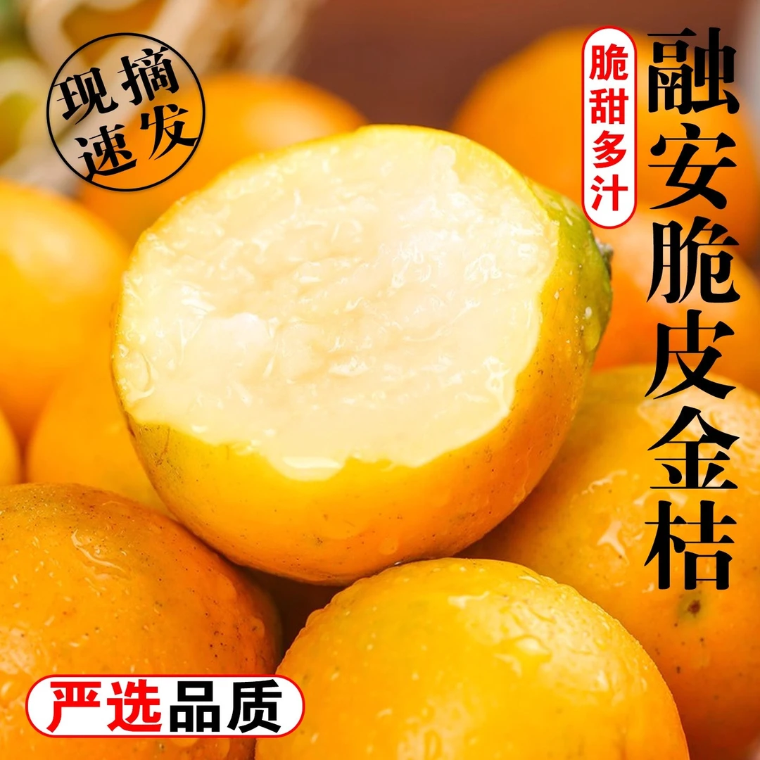 广西融安滑皮金桔新鲜现摘无酸带皮吃的当季水果