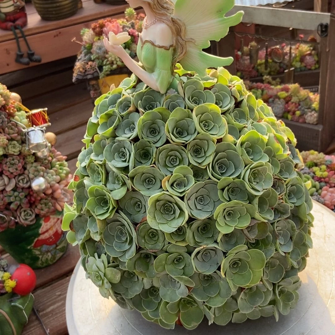 山地玫瑰花仙子成品