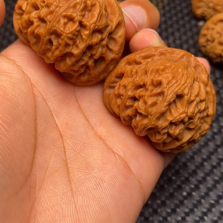 五****备秦岭野生111111111111111