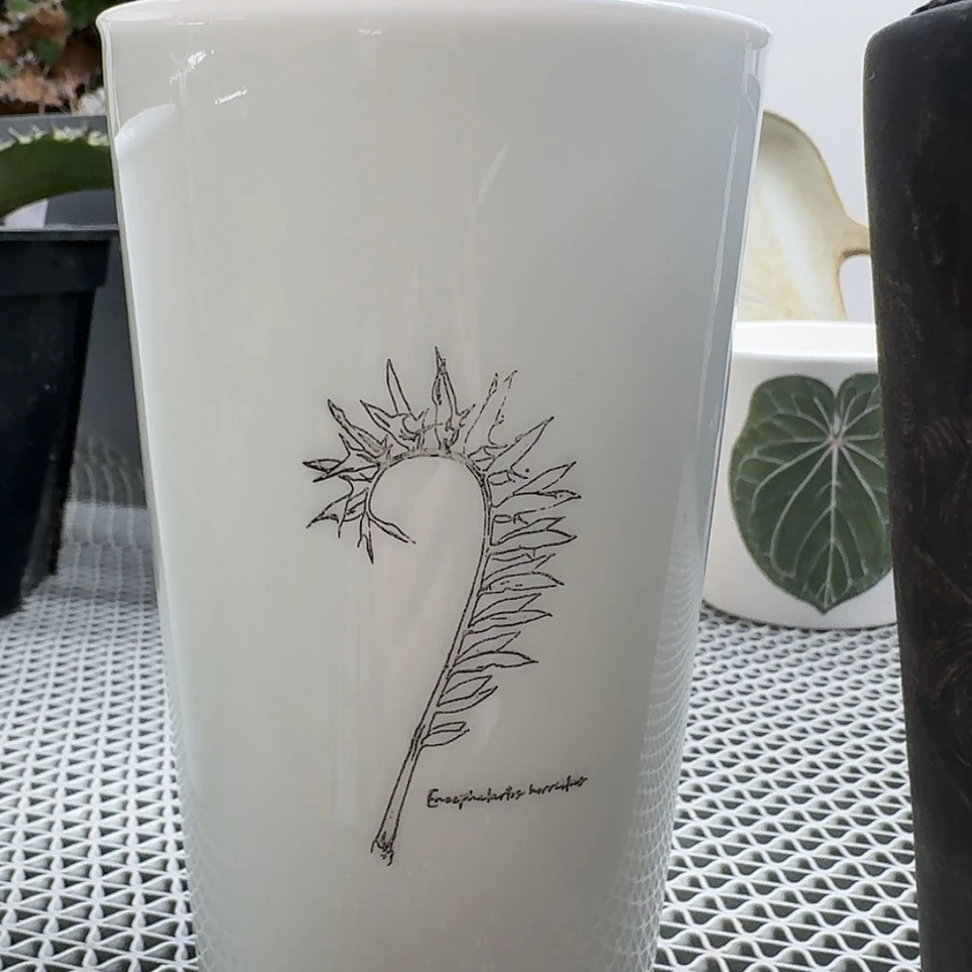 【闪购商品】高一点蓝戟可乐杯