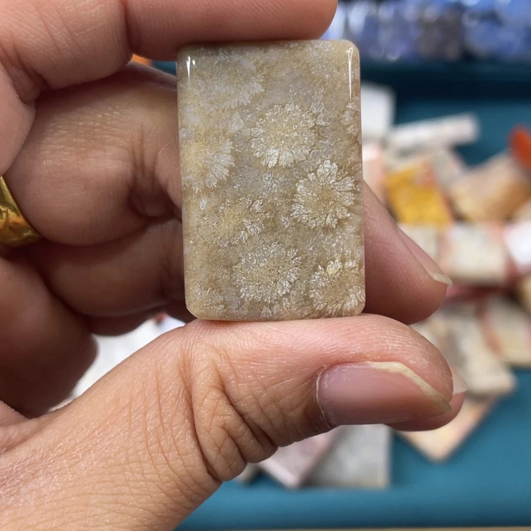 未镶嵌手镯硅化玉