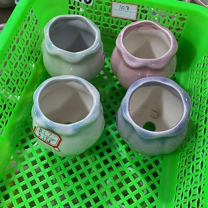 花盆抢购清货马上开始