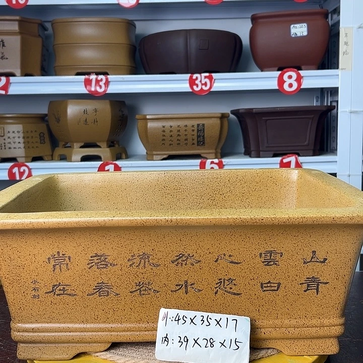 花盆紫砂你在一起