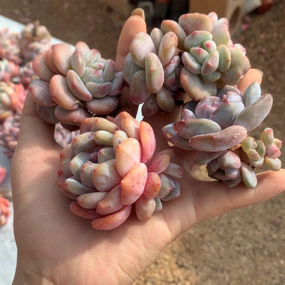 哈哈哈哈哈哈哈哈哈