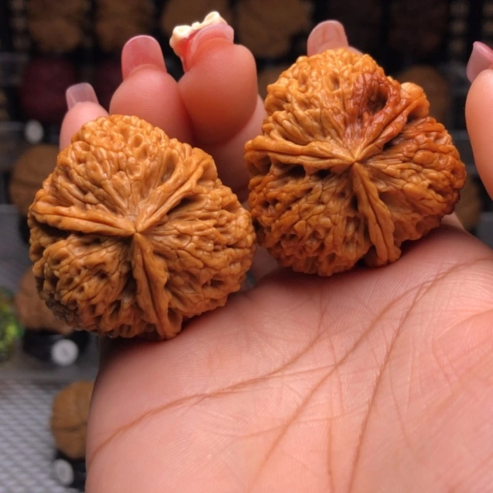 橄榄核吊坠47盘龙玉凤三楞