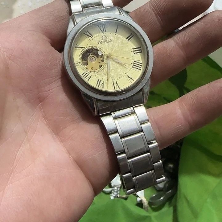 贝壳杉洪**主Ggfgfgfgggggg