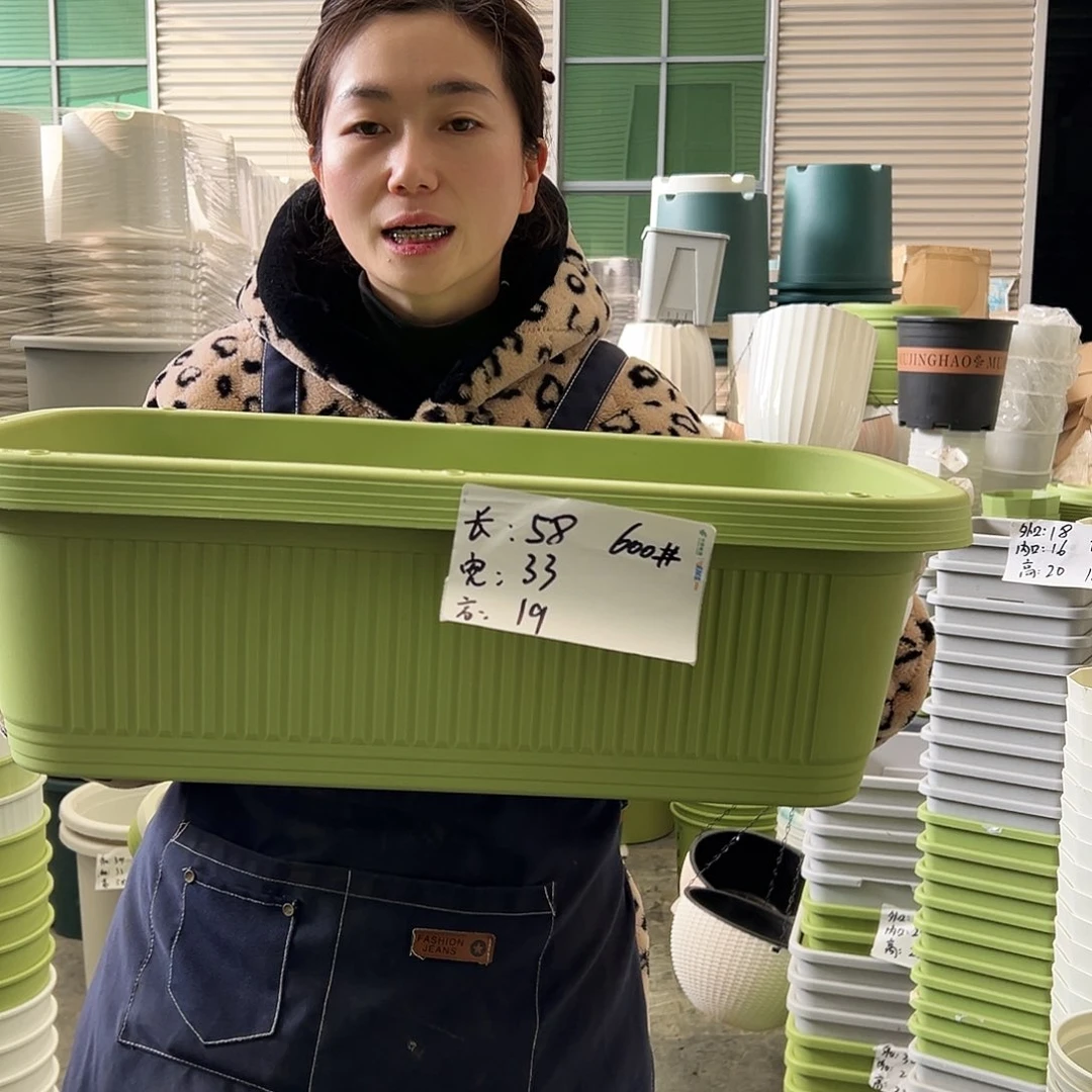 菜盆600#果绿3个（含托）