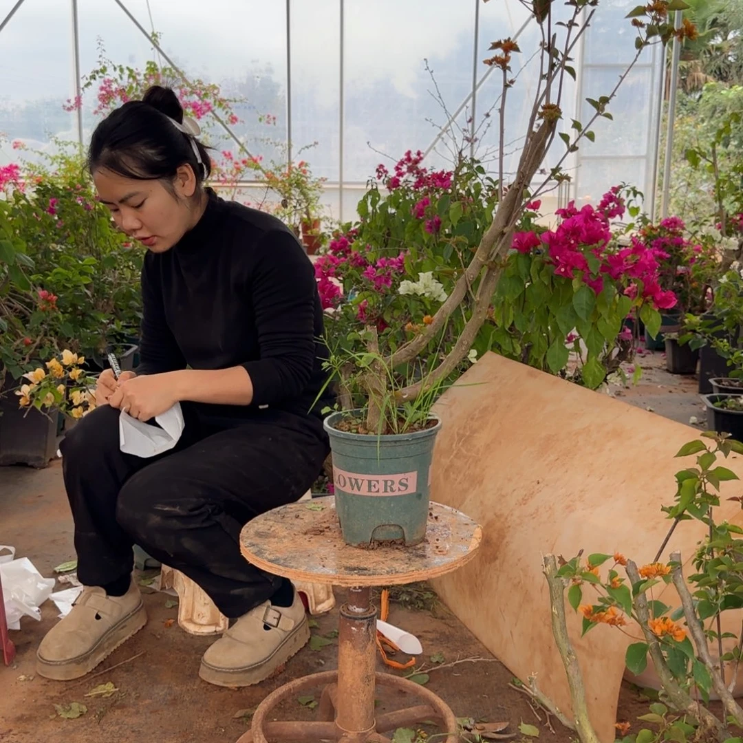 大部分花苞少量开放重瓣橙 253脱