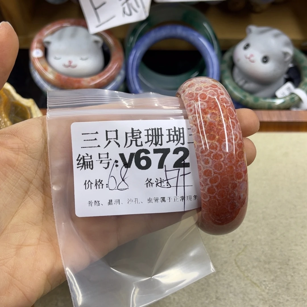 淡***…硅化珊瑚（珊瑚玉）未镶嵌h
