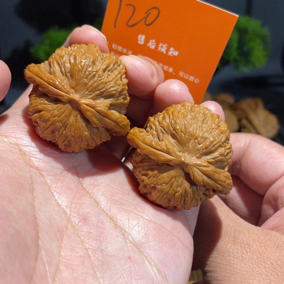 文玩核桃把件43闷白打底120