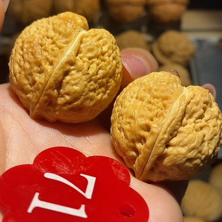 核桃桃心核桃尺寸34